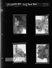 Junkyard Fire (4 Negatives) (1952-1953) [Sleeve 38, Folder g, Box 1]